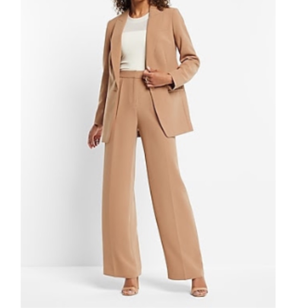 Express Super High Waisted Open Pleated Wide Leg Pant - Trouser